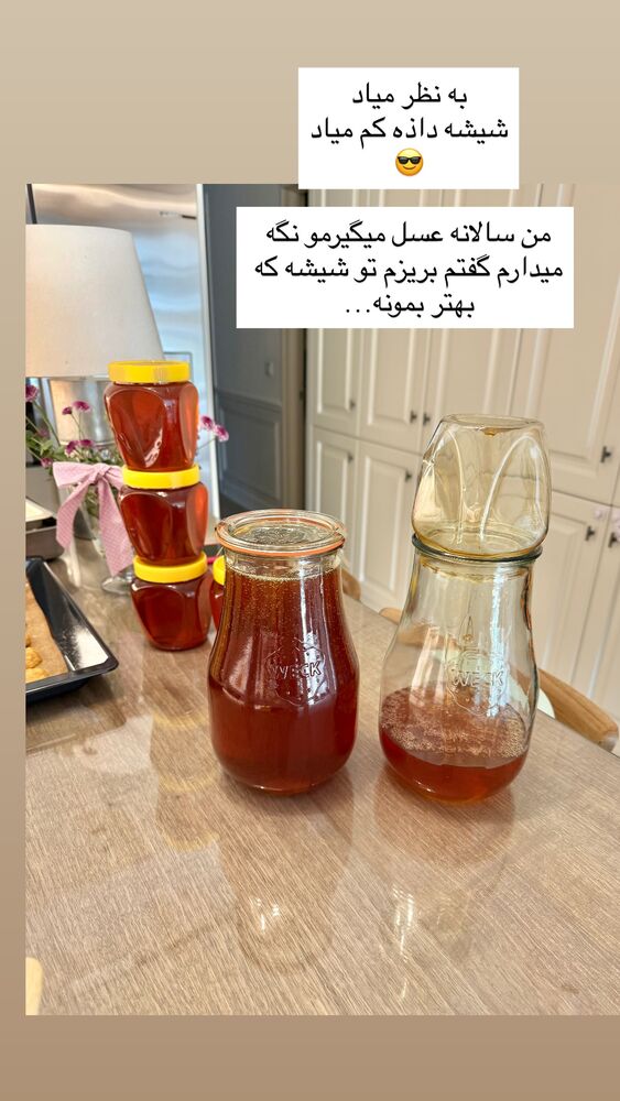  جدید ترین استوری اینستاگرام كامليا رودنشين