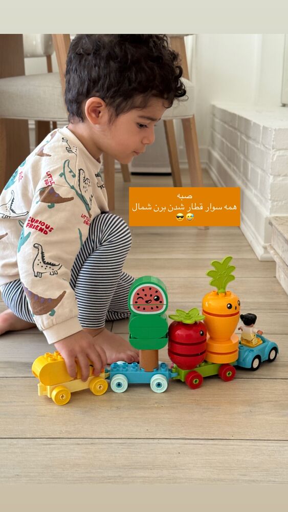  جدید ترین استوری اینستاگرام كامليا رودنشين