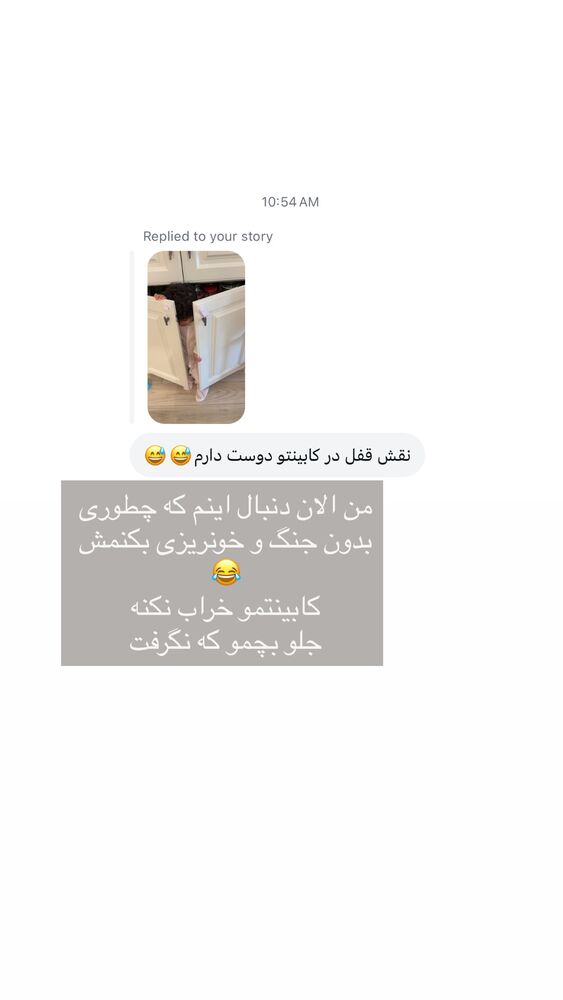  جدید ترین استوری اینستاگرام كامليا رودنشين