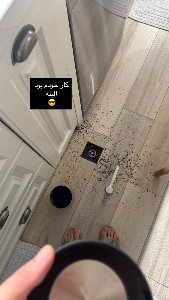  جدید ترین استوری اینستاگرام كامليا رودنشين