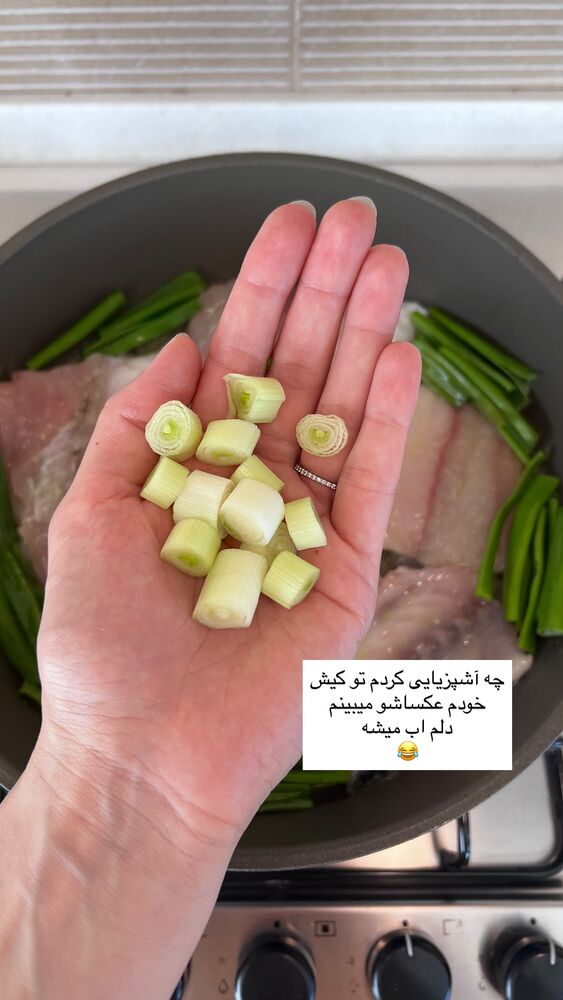  جدید ترین استوری اینستاگرام كامليا رودنشين