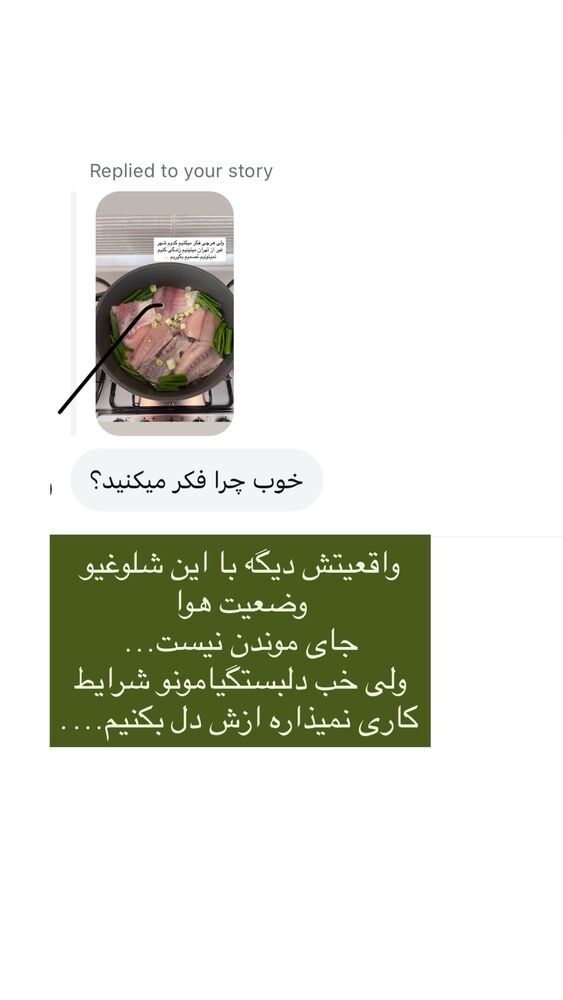  جدید ترین استوری اینستاگرام كامليا رودنشين