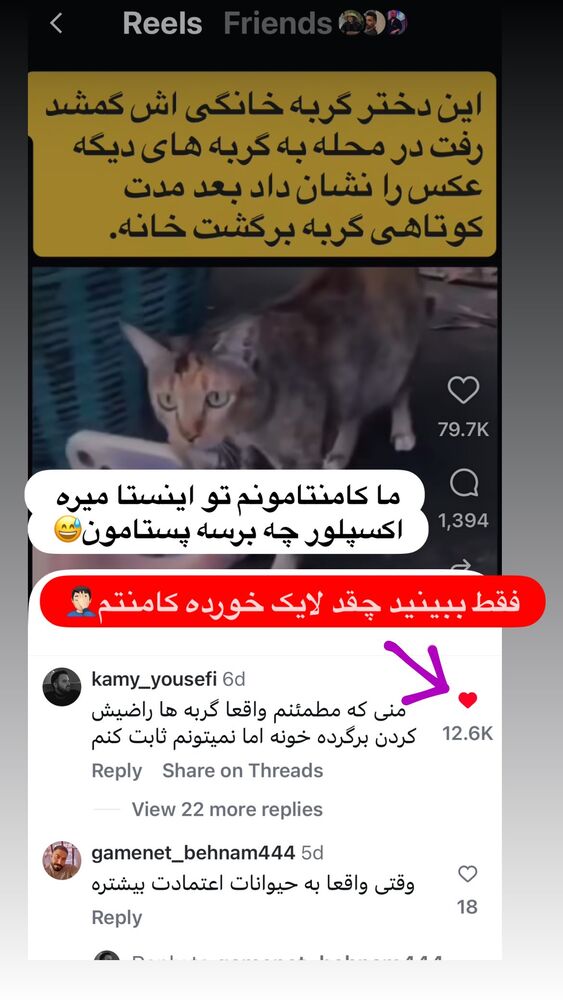  جدید ترین استوری اینستاگرام کامی یوسفی