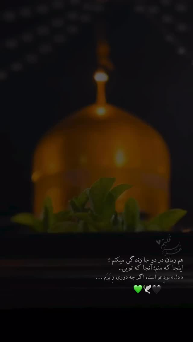  جدید ترین استوری اینستاگرام کامیاب متولی