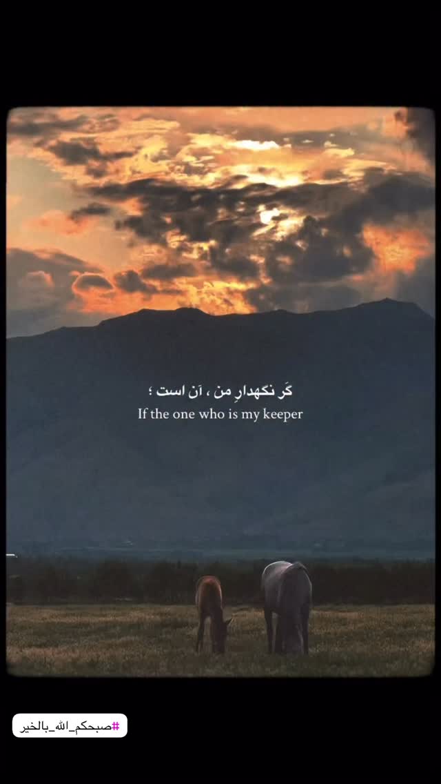  جدید ترین استوری اینستاگرام کامیاب متولی