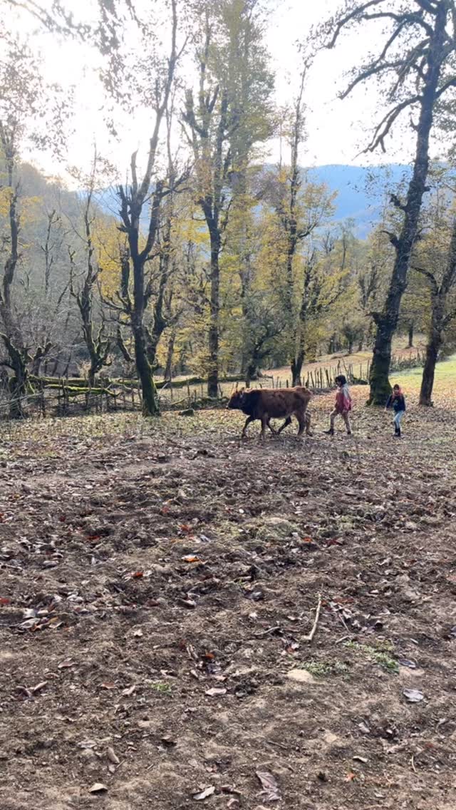  جدید ترین استوری اینستاگرام کمیار بامداد