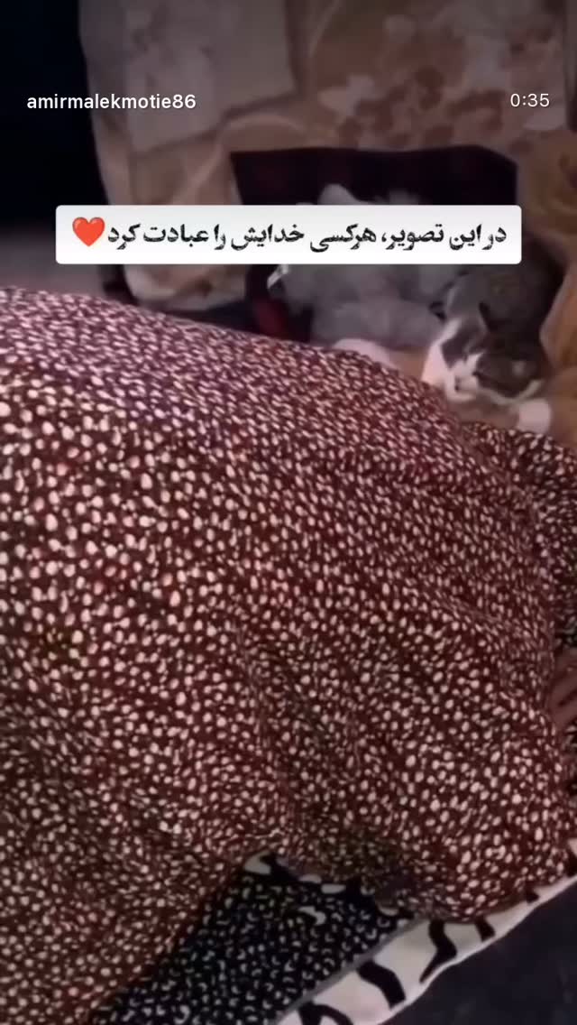  جدید ترین استوری اینستاگرام کاپیتان عابد