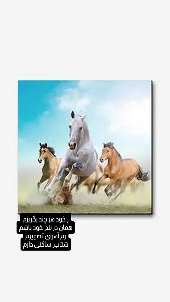  جدید ترین استوری اینستاگرام محسن عراقی