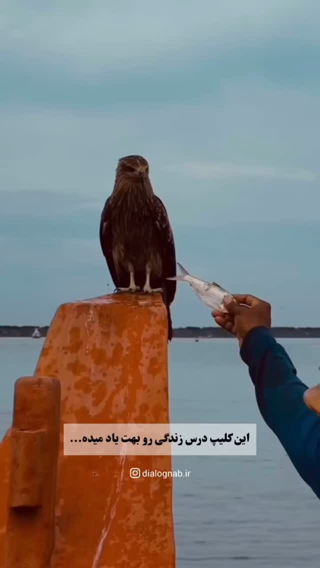  جدید ترین استوری اینستاگرام کارن سعادت