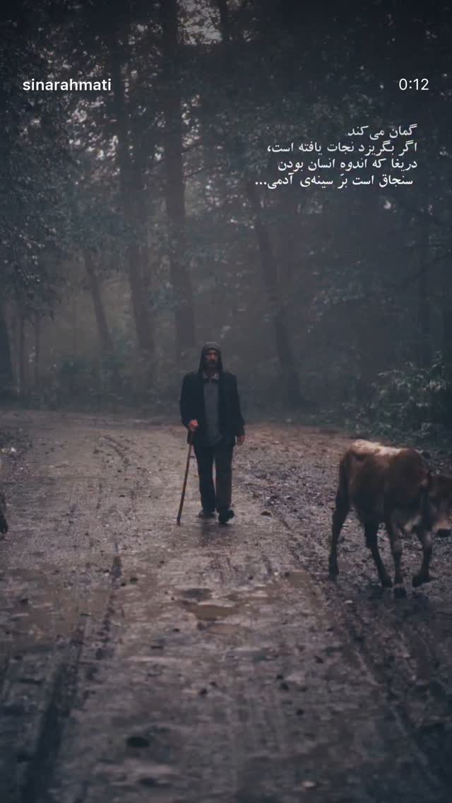  جدید ترین استوری اینستاگرام کریم جمالی