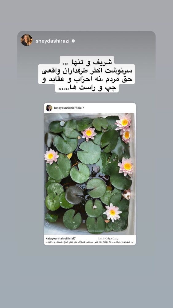  جدید ترین استوری اینستاگرام کتایون ریاحی