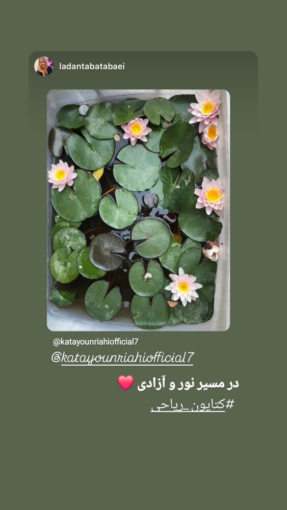  جدید ترین استوری اینستاگرام کتایون ریاحی