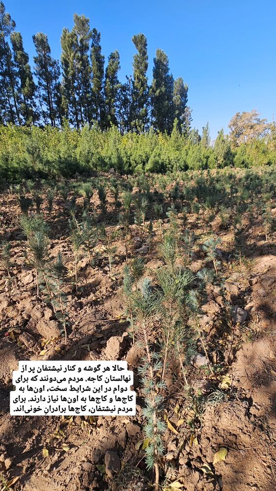  جدید ترین استوری اینستاگرام کاوه راد