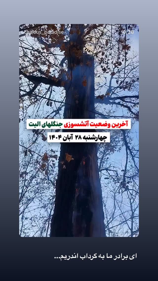  جدید ترین استوری اینستاگرام کیهان کلهر