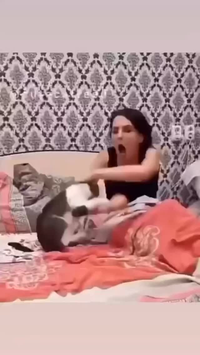  جدید ترین استوری اینستاگرام کرموبله