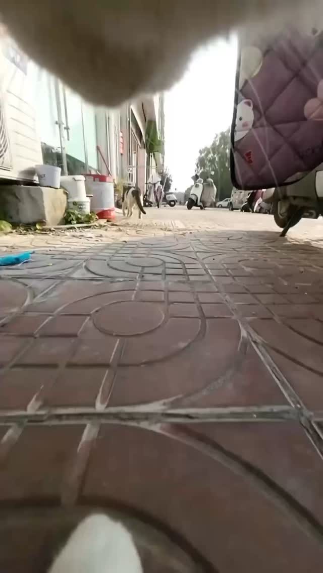  جدید ترین استوری اینستاگرام کرموبله