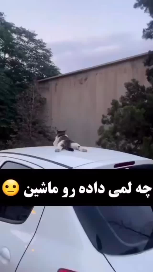  جدید ترین استوری اینستاگرام کرموبله