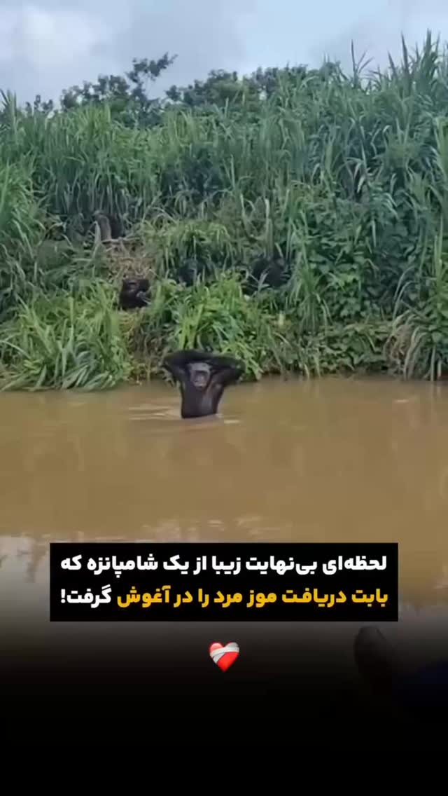  جدید ترین استوری اینستاگرام کرموبله