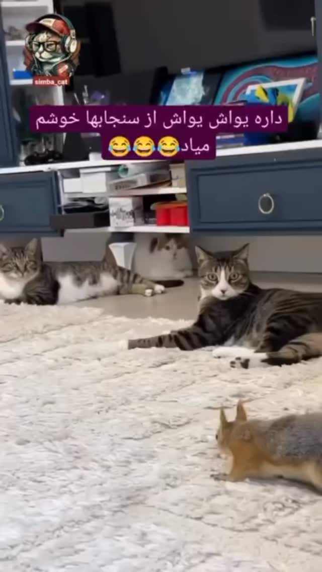  جدید ترین استوری اینستاگرام کرموبله