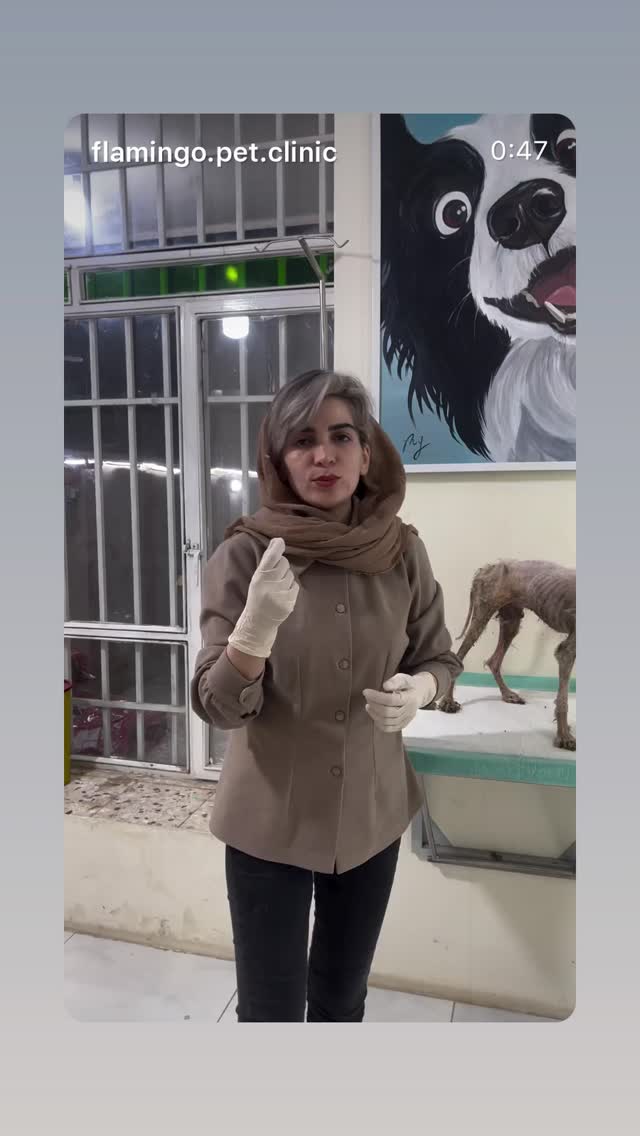  جدید ترین استوری اینستاگرام کیوان ساکت اف