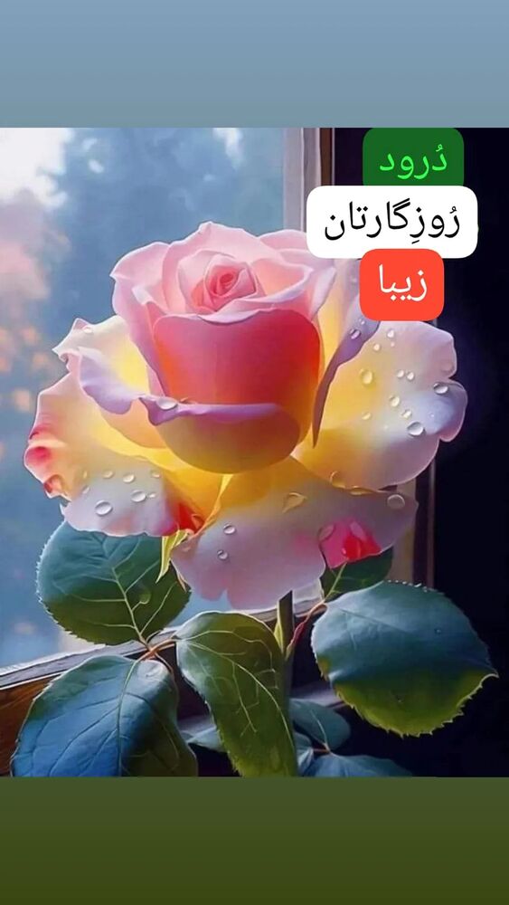  جدید ترین استوری اینستاگرام علیرضا خمسه