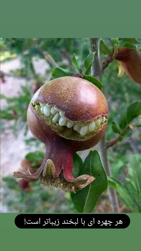  جدید ترین استوری اینستاگرام علیرضا خمسه