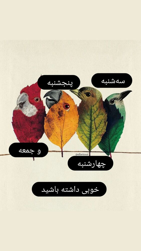  جدید ترین استوری اینستاگرام علیرضا خمسه