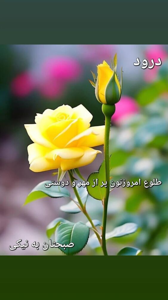  جدید ترین استوری اینستاگرام علیرضا خمسه