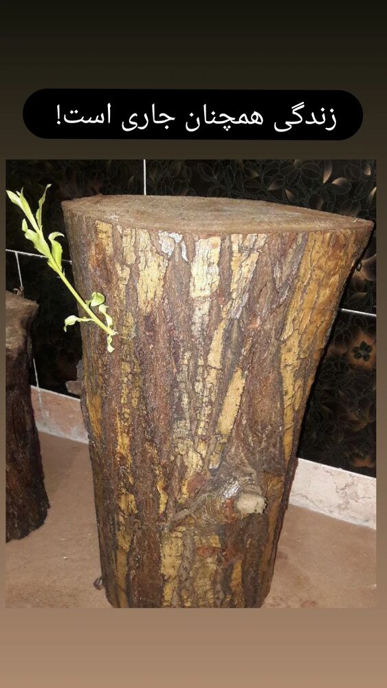  جدید ترین استوری اینستاگرام علیرضا خمسه