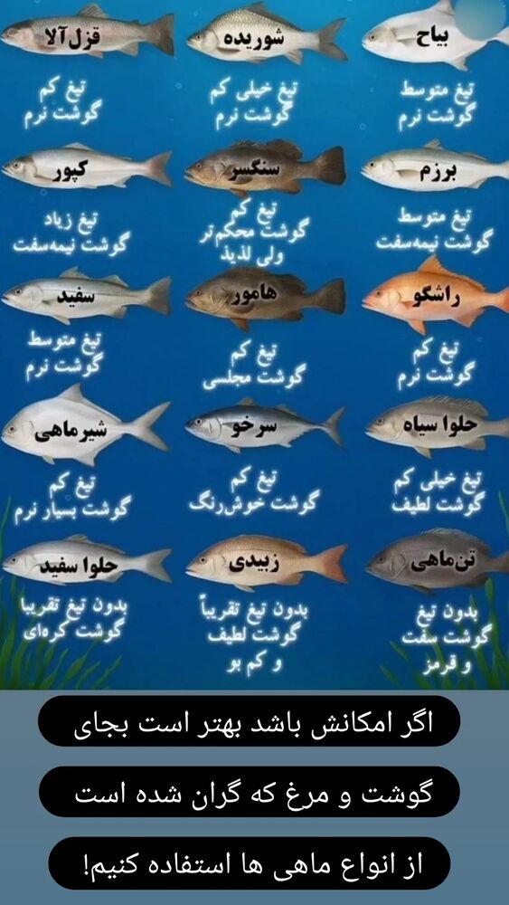  جدید ترین استوری اینستاگرام علیرضا خمسه