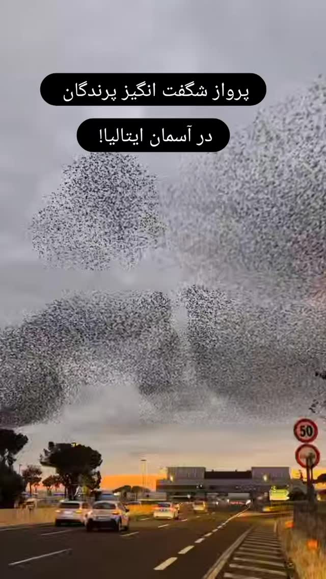  جدید ترین استوری اینستاگرام علیرضا خمسه