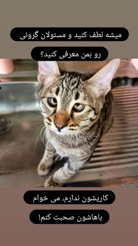  جدید ترین استوری اینستاگرام علیرضا خمسه