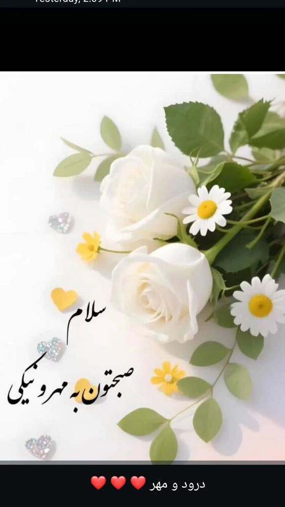  جدید ترین استوری اینستاگرام علیرضا خمسه
