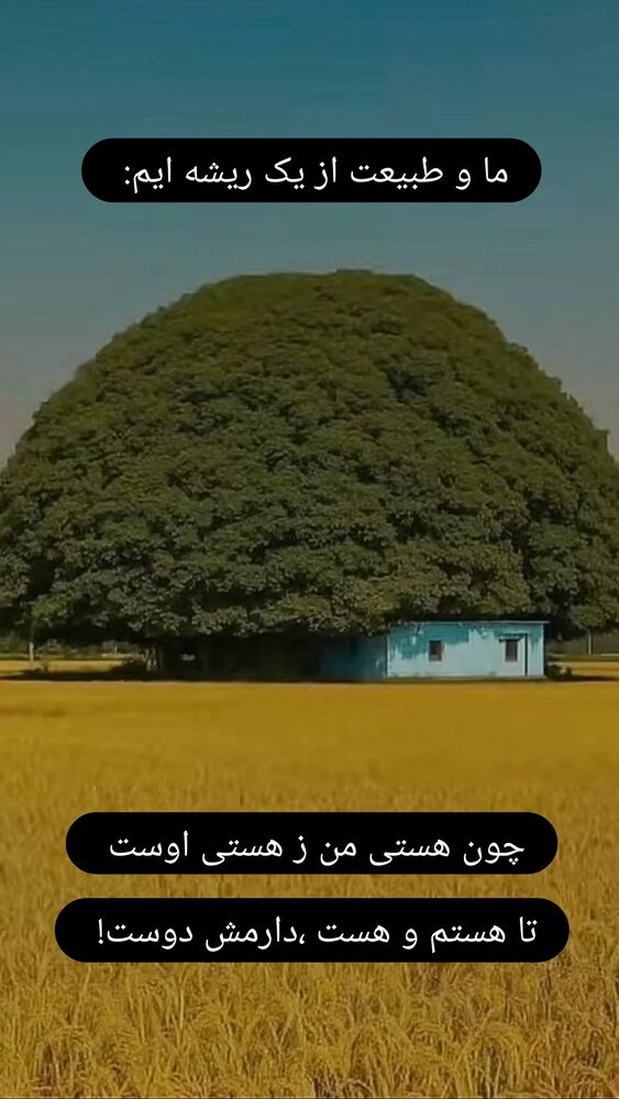  جدید ترین استوری اینستاگرام علیرضا خمسه