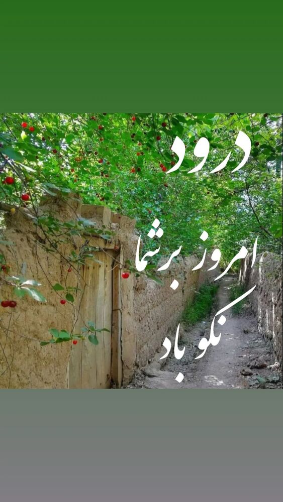  جدید ترین استوری اینستاگرام علیرضا خمسه