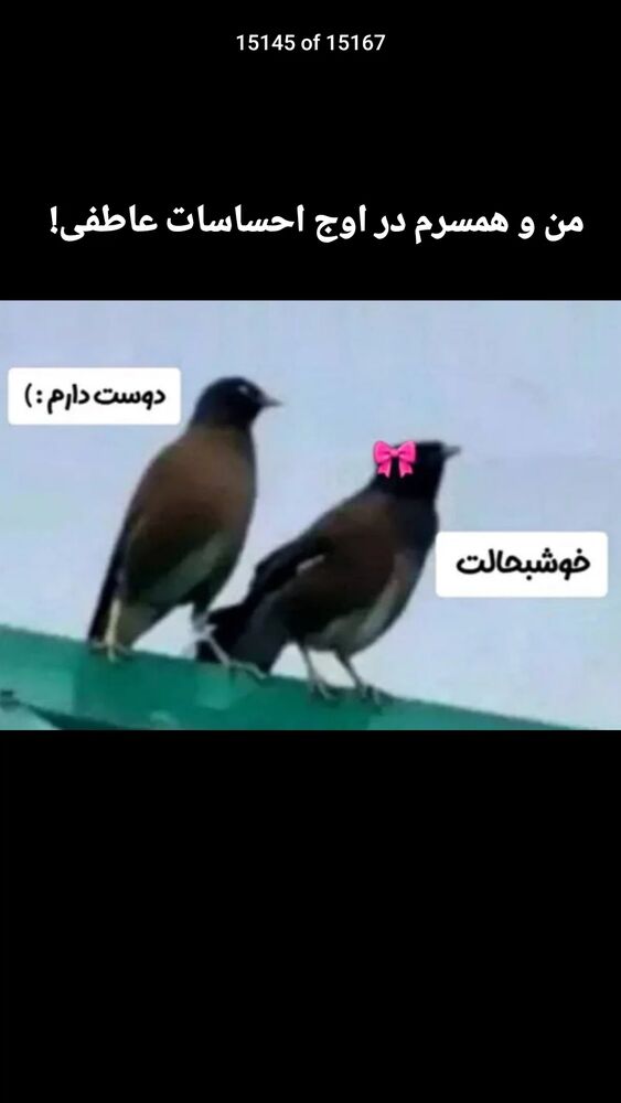  جدید ترین استوری اینستاگرام علیرضا خمسه
