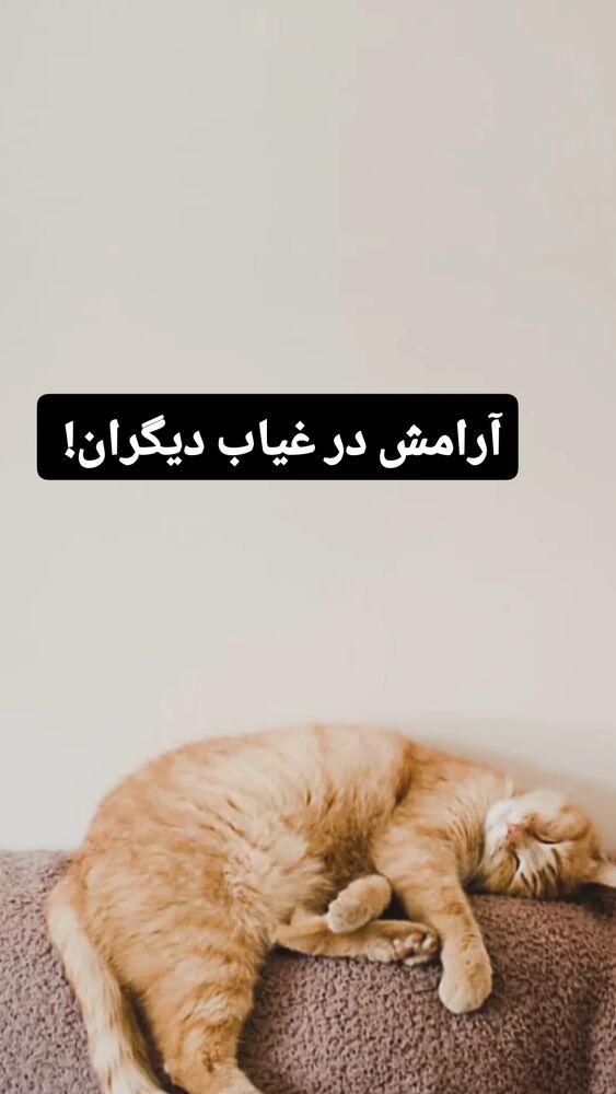  جدید ترین استوری اینستاگرام علیرضا خمسه