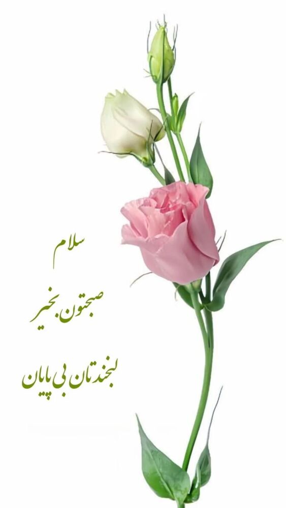  جدید ترین استوری اینستاگرام علیرضا خمسه