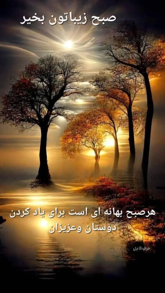  جدید ترین استوری اینستاگرام علیرضا خمسه
