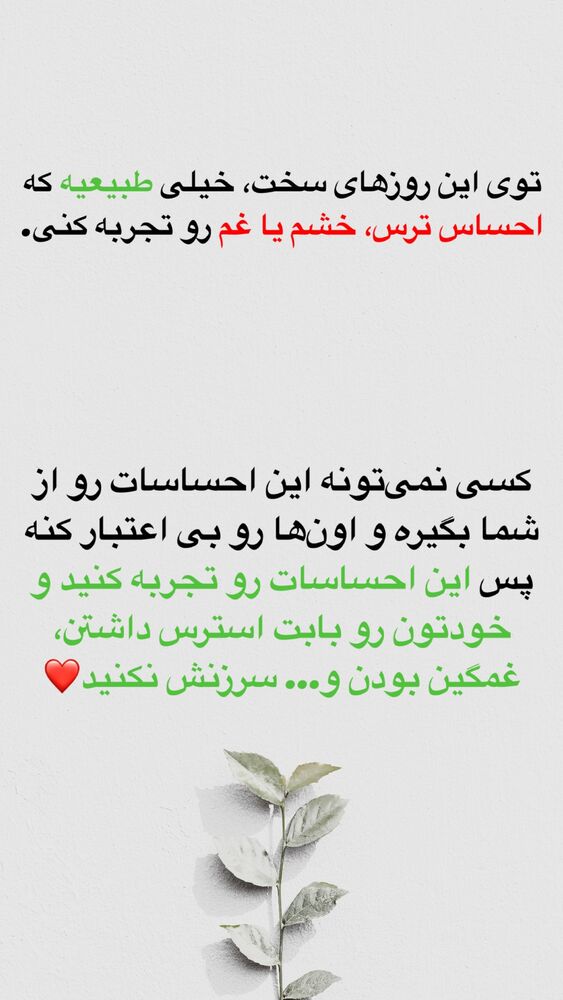  جدید ترین استوری اینستاگرام شاهین فرهنگ