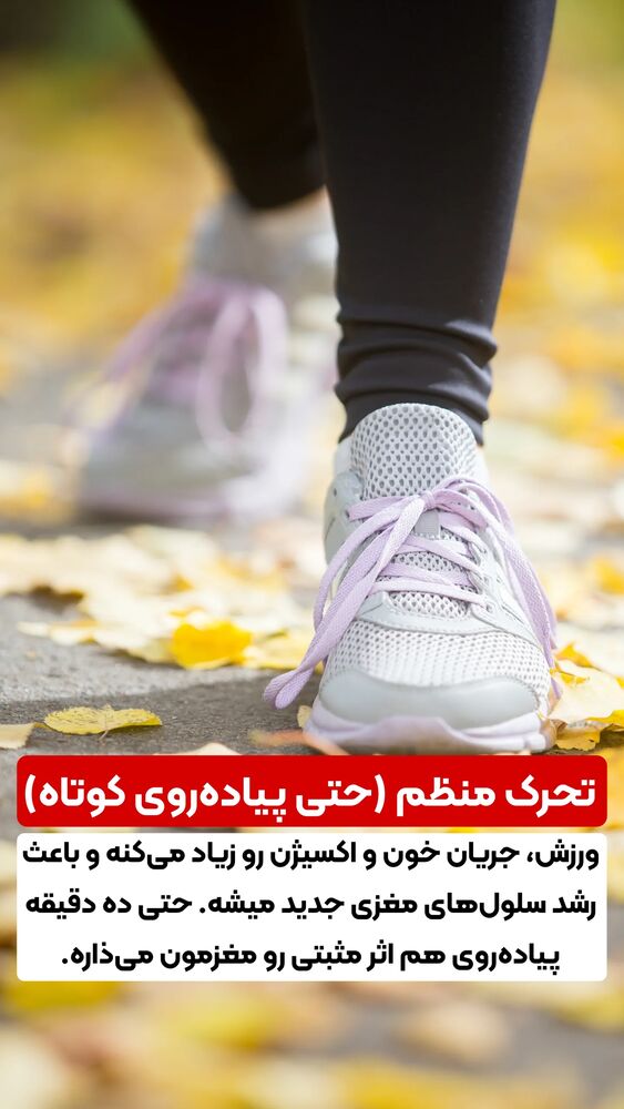  جدید ترین استوری اینستاگرام شاهین فرهنگ