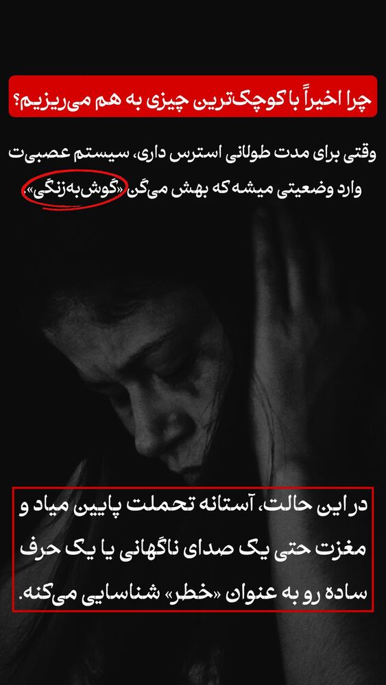  جدید ترین استوری اینستاگرام شاهین فرهنگ