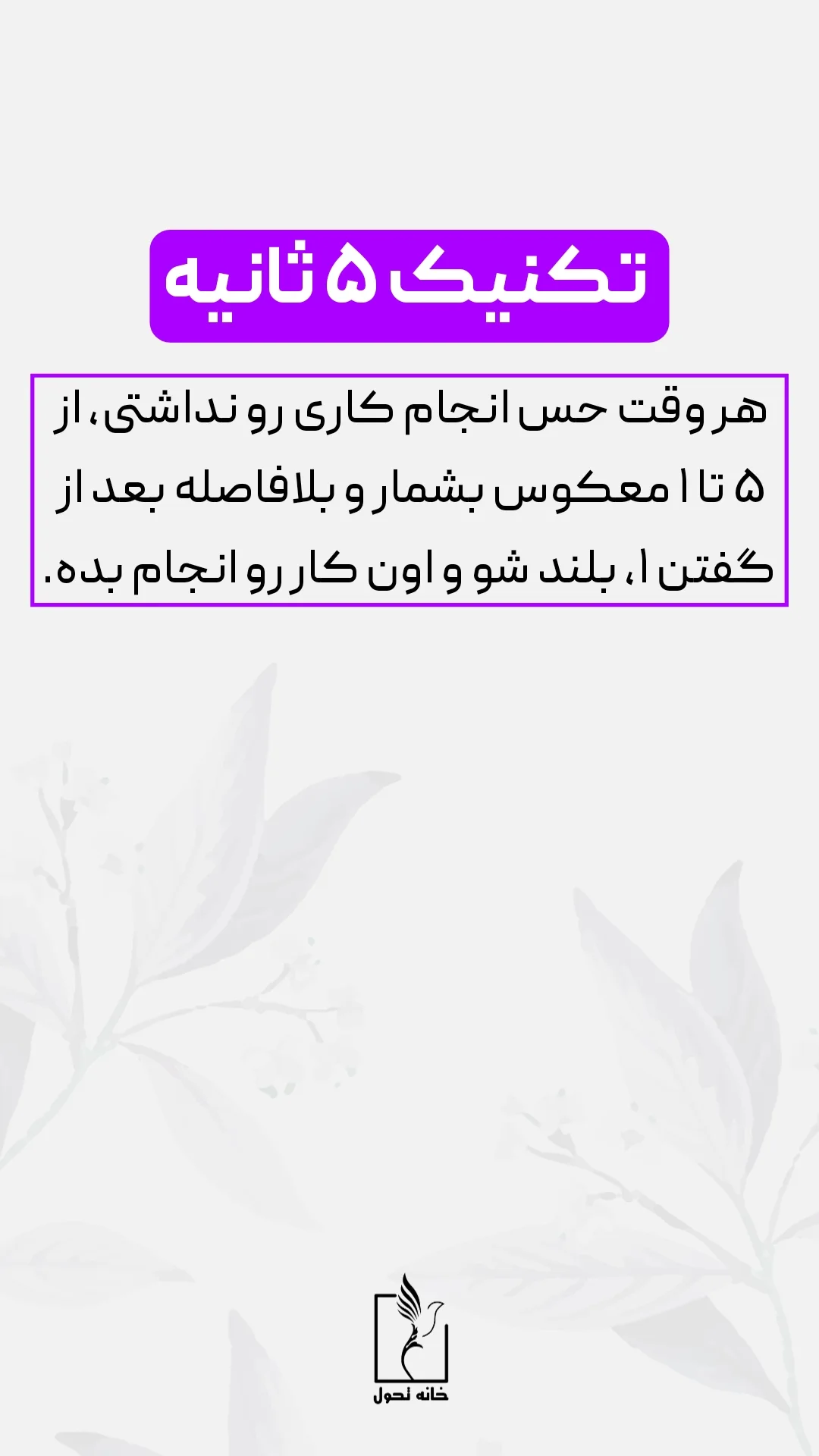  جدید ترین استوری اینستاگرام شاهین فرهنگ