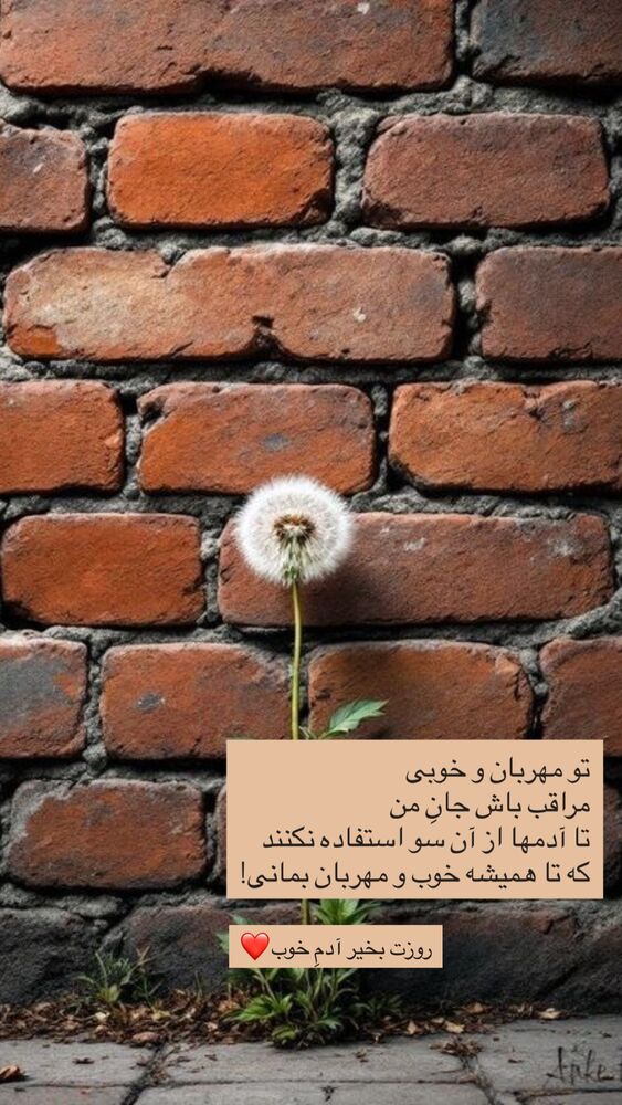  جدید ترین استوری اینستاگرام نوید خانجانی