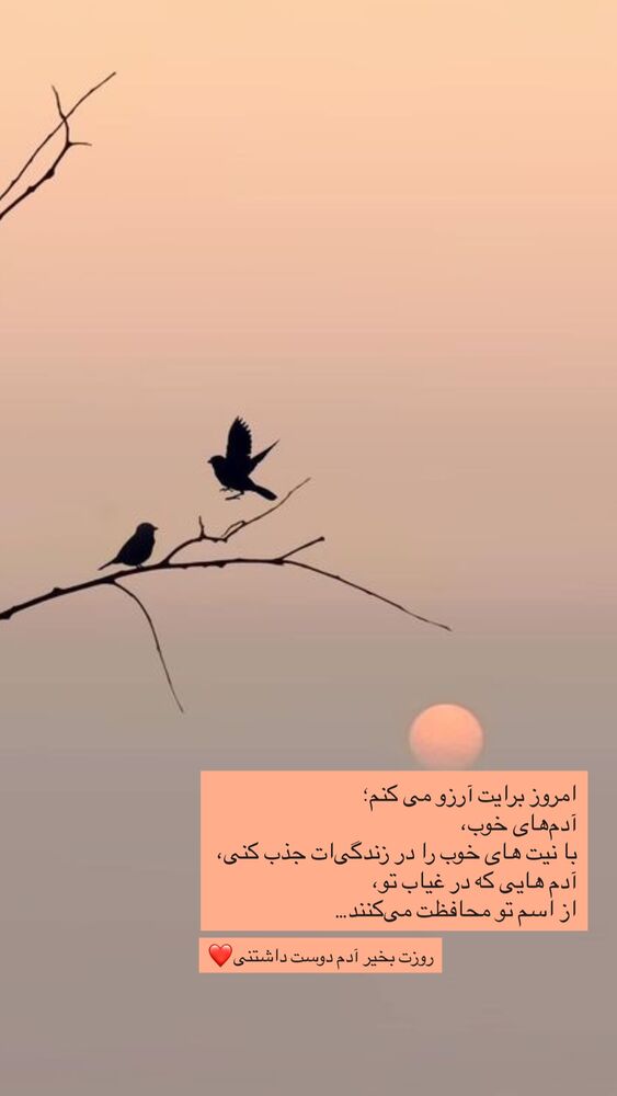  جدید ترین استوری اینستاگرام نوید خانجانی