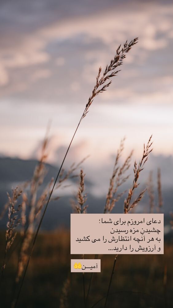  جدید ترین استوری اینستاگرام نوید خانجانی