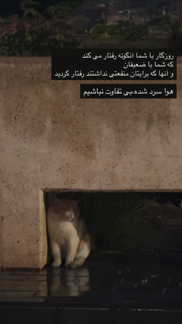  جدید ترین استوری اینستاگرام نوید خانجانی
