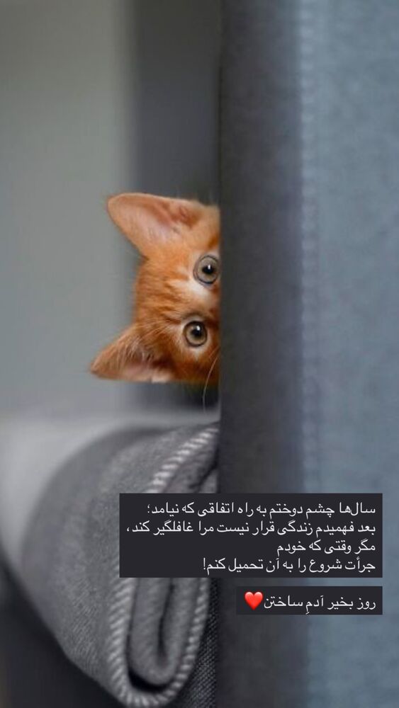  جدید ترین استوری اینستاگرام نوید خانجانی