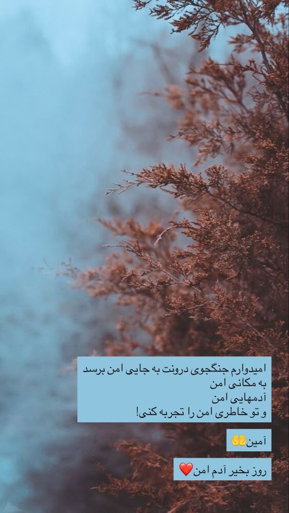  جدید ترین استوری اینستاگرام نوید خانجانی