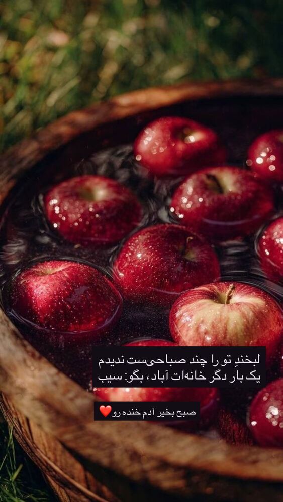  جدید ترین استوری اینستاگرام نوید خانجانی
